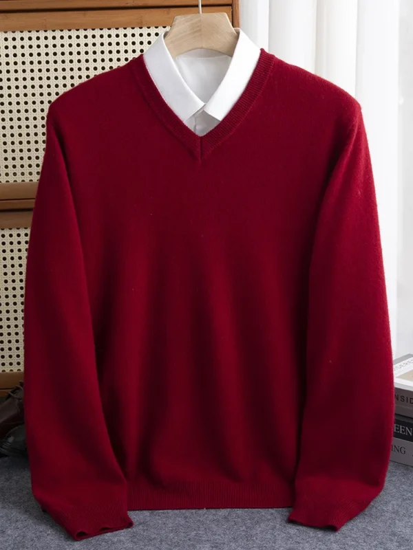 Se1feb98b65f046aab682040f7b0edd58O.webp Men 100% Merino Wool Sweater V-Neck Pullover Autumn.